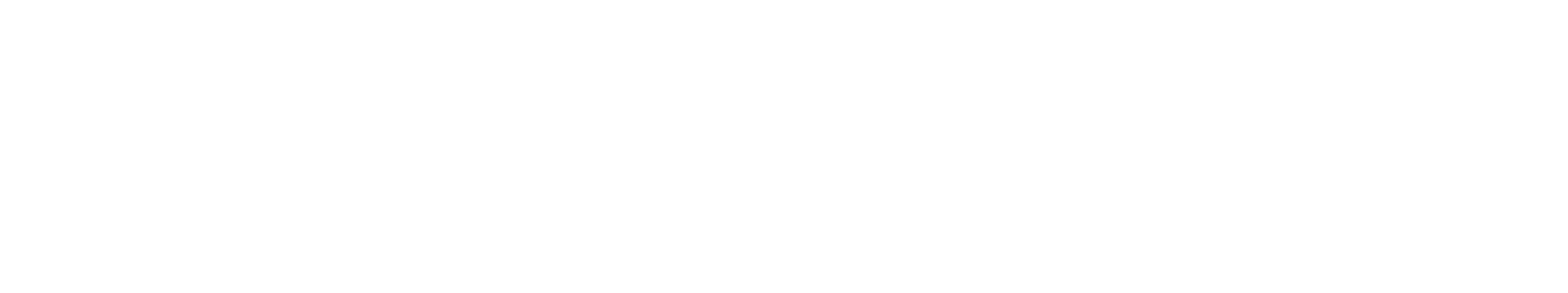 Burnes Center for Social Change logo